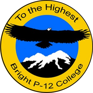 Bright P12 College